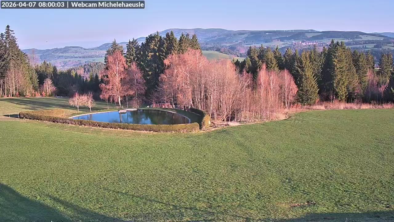 Archiv Foto Webcam Thurnerspur - St. Peter und St. Märgen