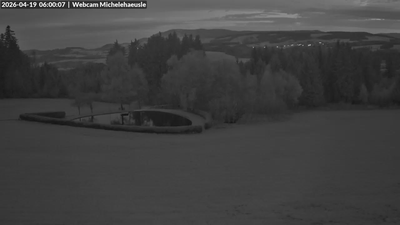 Archiv Foto Webcam Thurnerspur - St. Peter und St. Märgen