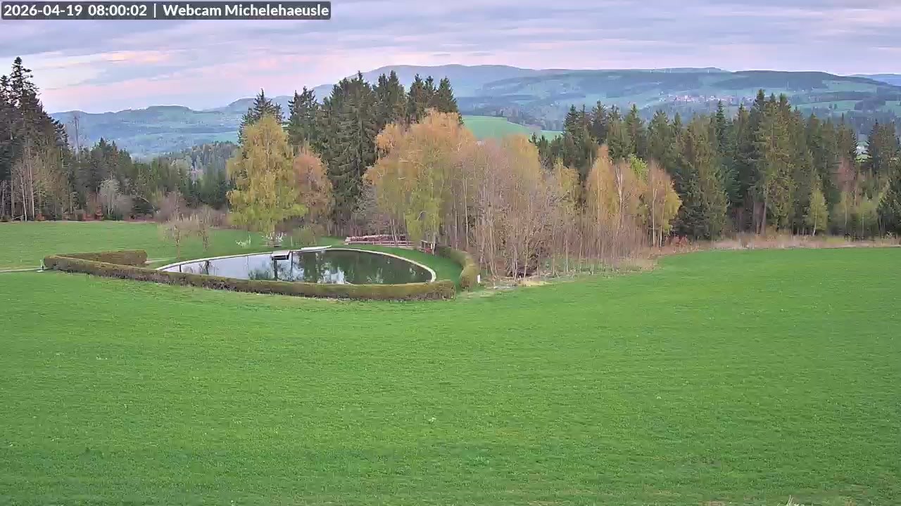 Archiv Foto Webcam Thurnerspur - St. Peter und St. Märgen