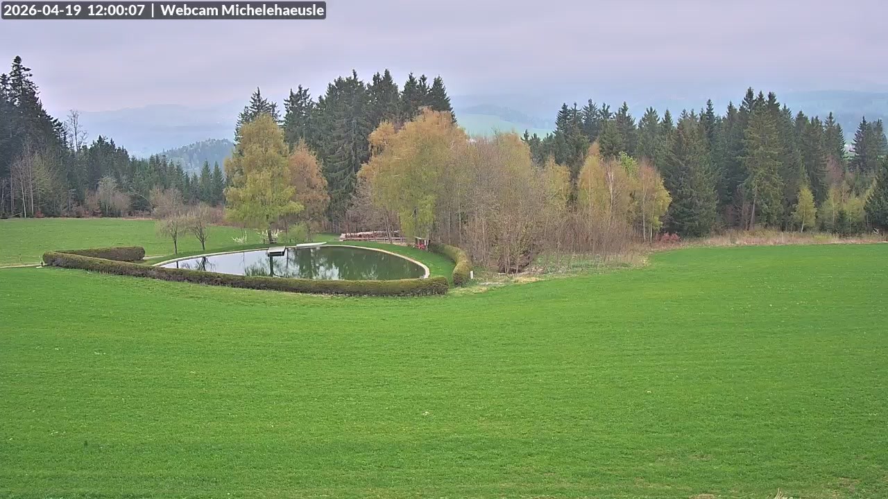 Archiv Foto Webcam Thurnerspur - St. Peter und St. Märgen