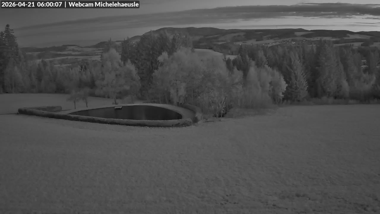 Archived image Webcam View over St. Peter and St. Märgen Thurnerspur