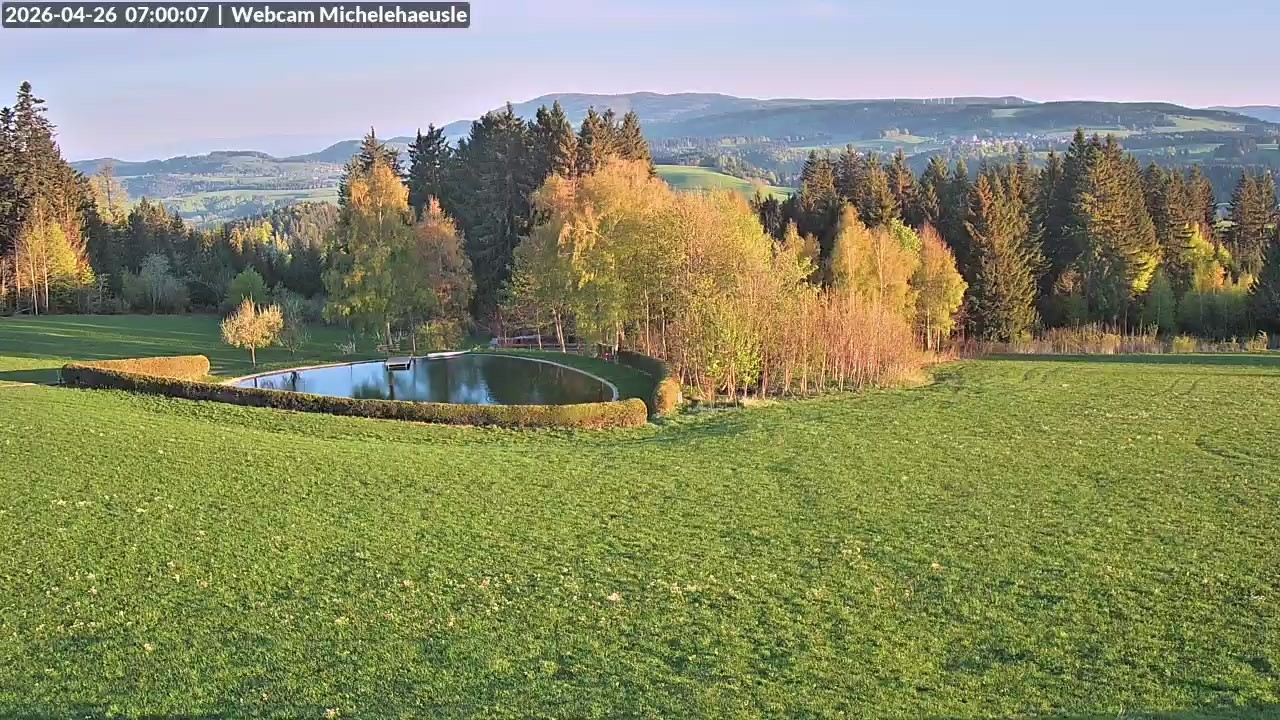 Archiv Foto Webcam Thurnerspur - St. Peter und St. Märgen