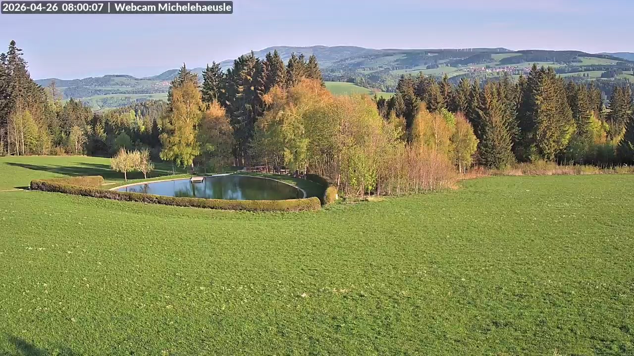 Archiv Foto Webcam Thurnerspur - St. Peter und St. Märgen