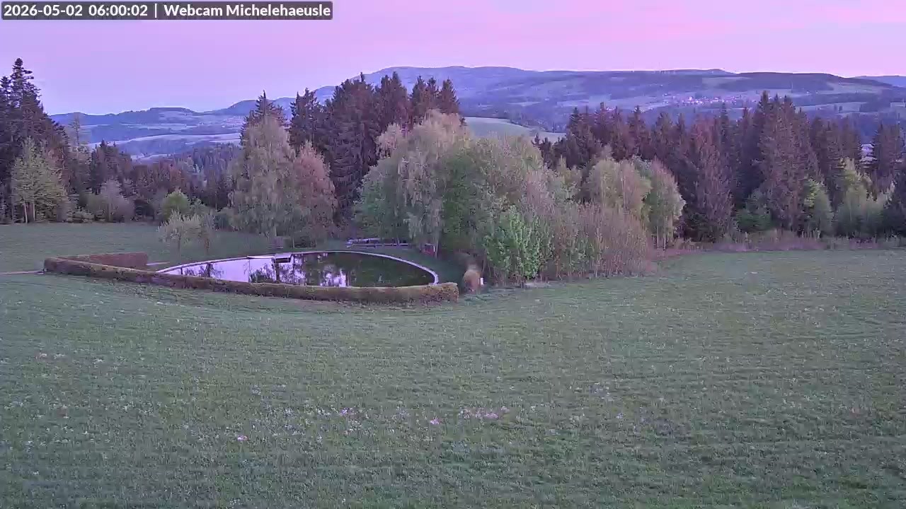 Archiv Foto Webcam Thurnerspur - St. Peter und St. Märgen