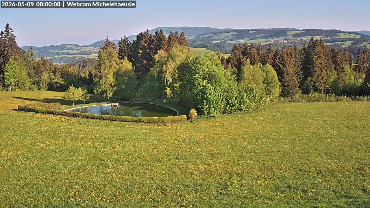 Archiv Foto Webcam Thurnerspur - St. Peter und St. Märgen