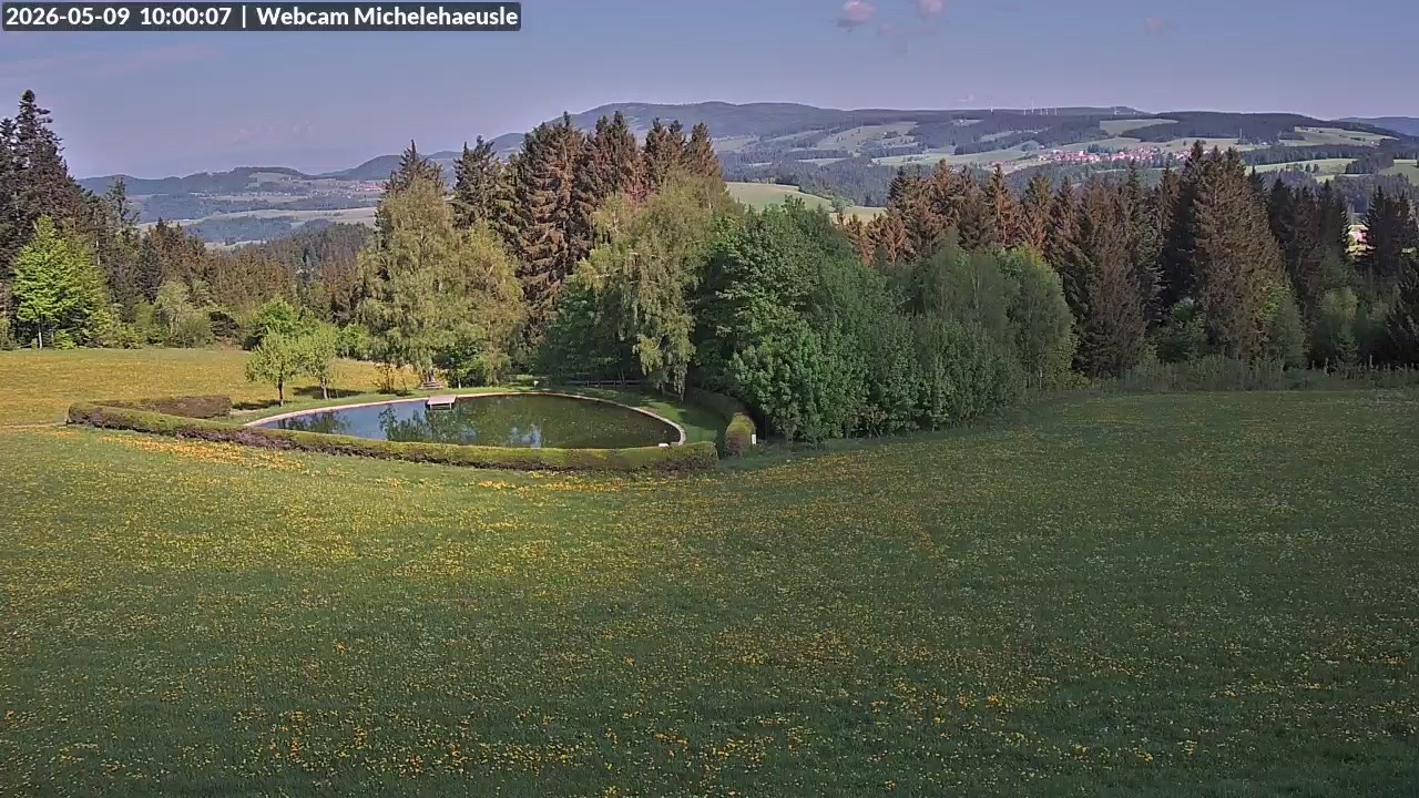 Archiv Foto Webcam Thurnerspur - St. Peter und St. Märgen