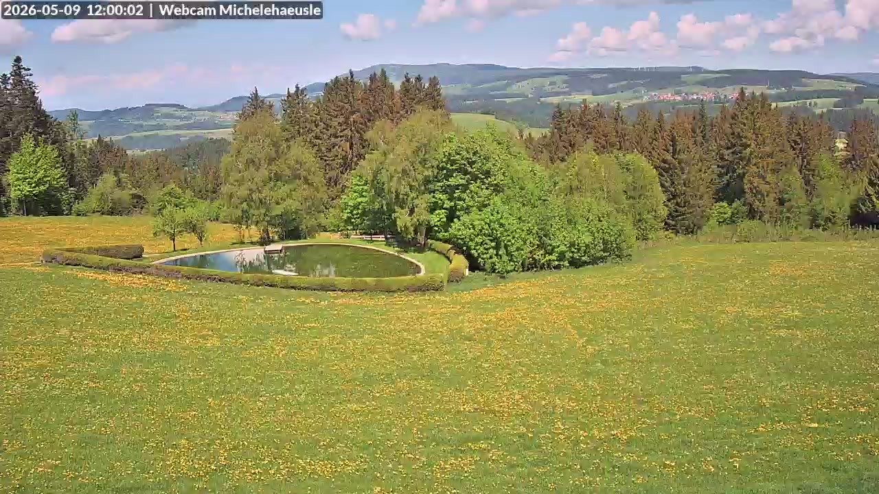 Archiv Foto Webcam Thurnerspur - St. Peter und St. Märgen