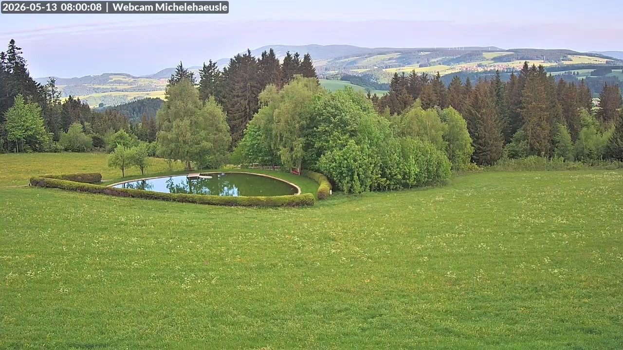 Archiv Foto Webcam Thurnerspur - St. Peter und St. Märgen