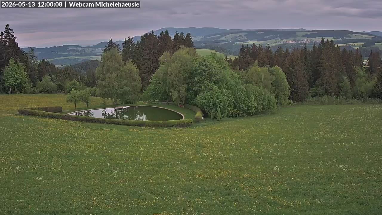 Archiv Foto Webcam Thurnerspur - St. Peter und St. Märgen
