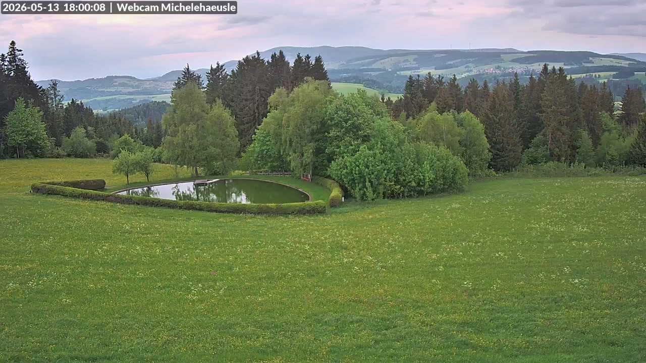 Archiv Foto Webcam Thurnerspur - St. Peter und St. Märgen