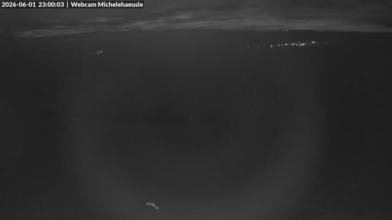 Archiv Foto Webcam Thurnerspur - St. Peter und St. Märgen