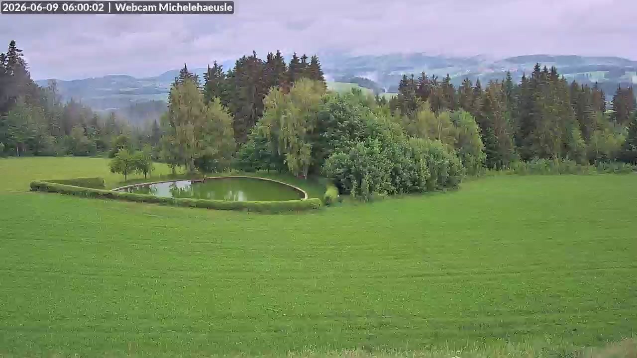 Archiv Foto Webcam Thurnerspur - St. Peter und St. Märgen