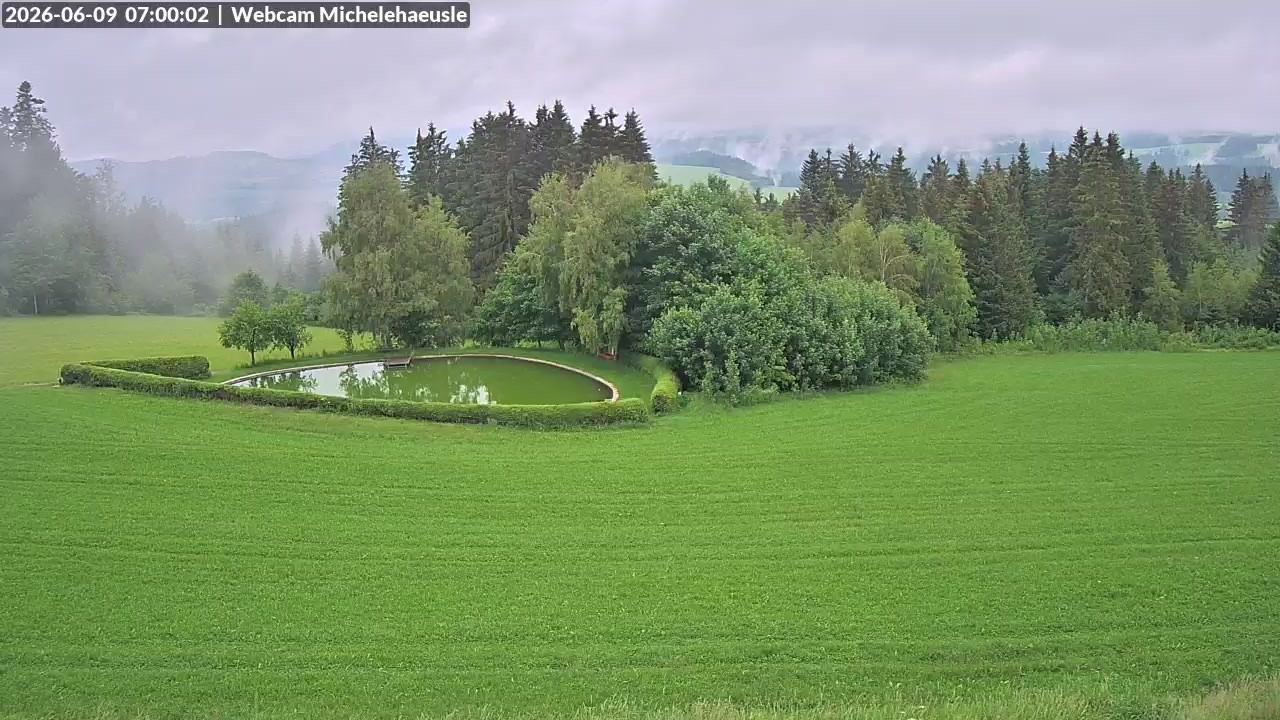 Archiv Foto Webcam Thurnerspur - St. Peter und St. Märgen