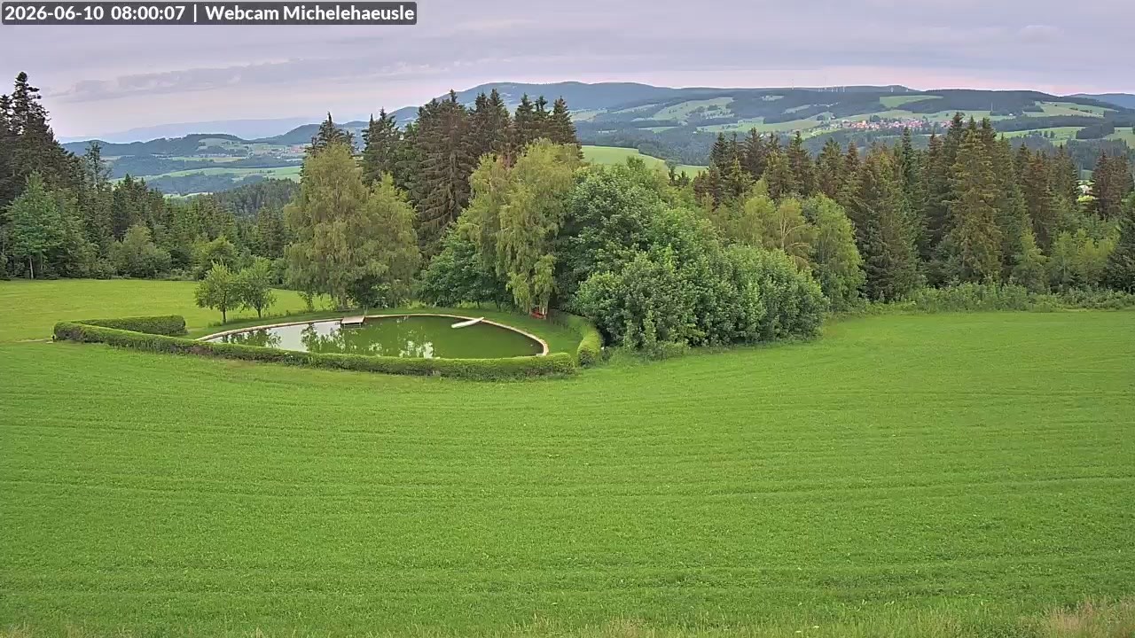 Archiv Foto Webcam Thurnerspur - St. Peter und St. Märgen