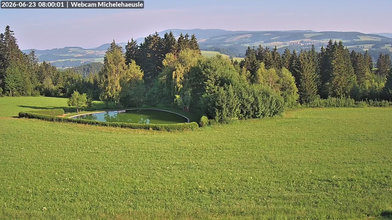 Archiv Foto Webcam Thurnerspur - St. Peter und St. Märgen