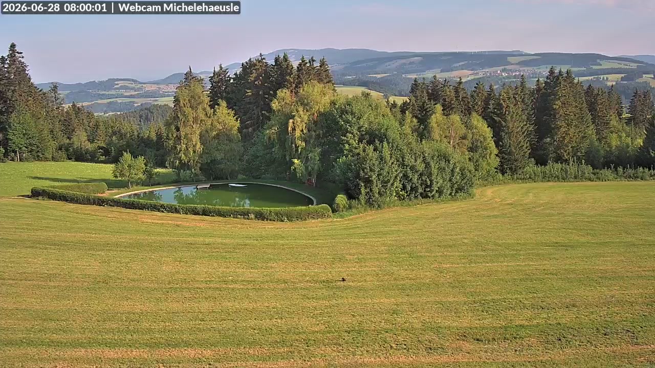 Archiv Foto Webcam Thurnerspur - St. Peter und St. Märgen