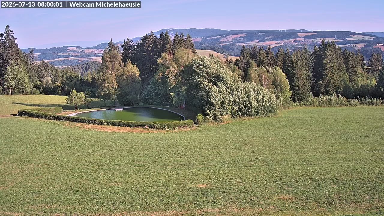 Archiv Foto Webcam Thurnerspur - St. Peter und St. Märgen
