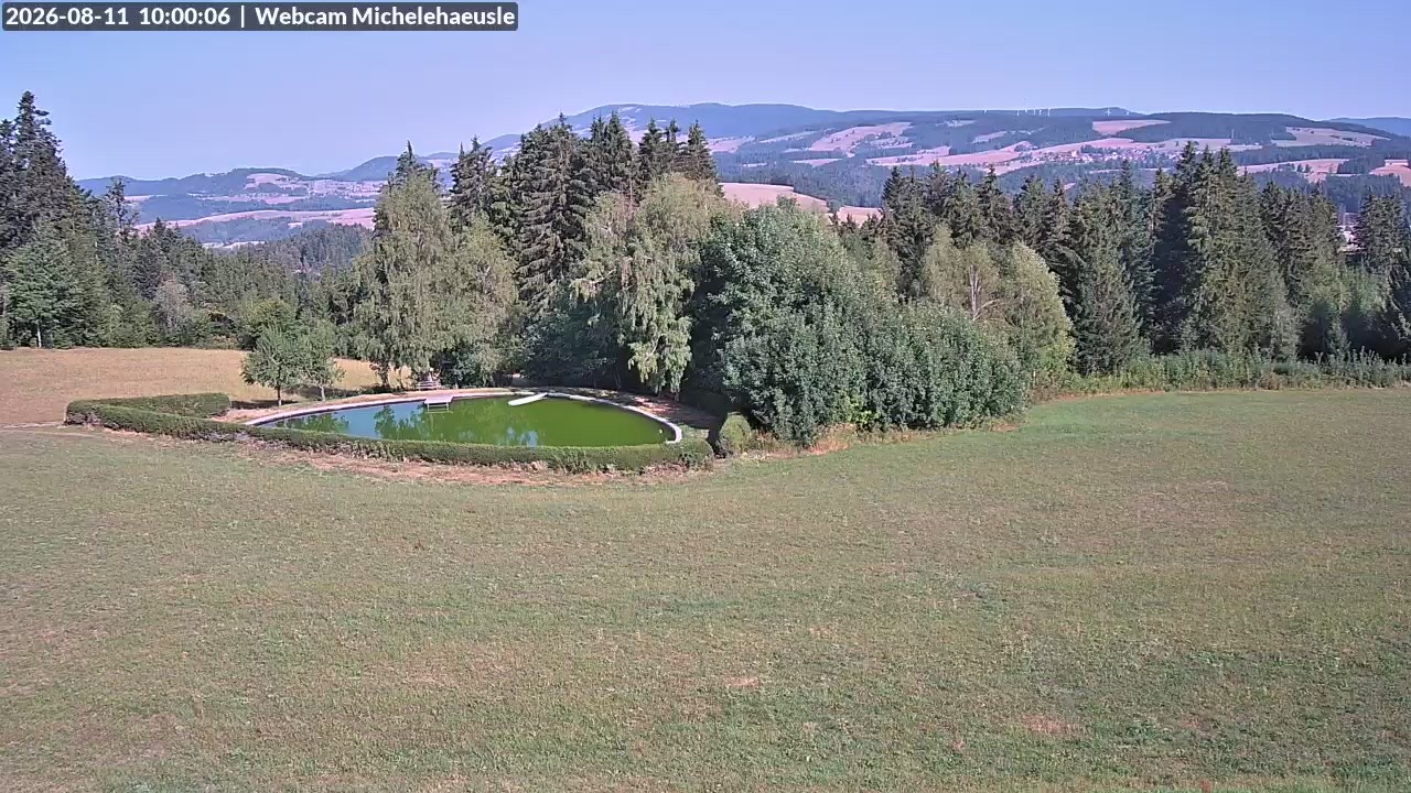 Archiv Foto Webcam Thurnerspur - St. Peter und St. Märgen