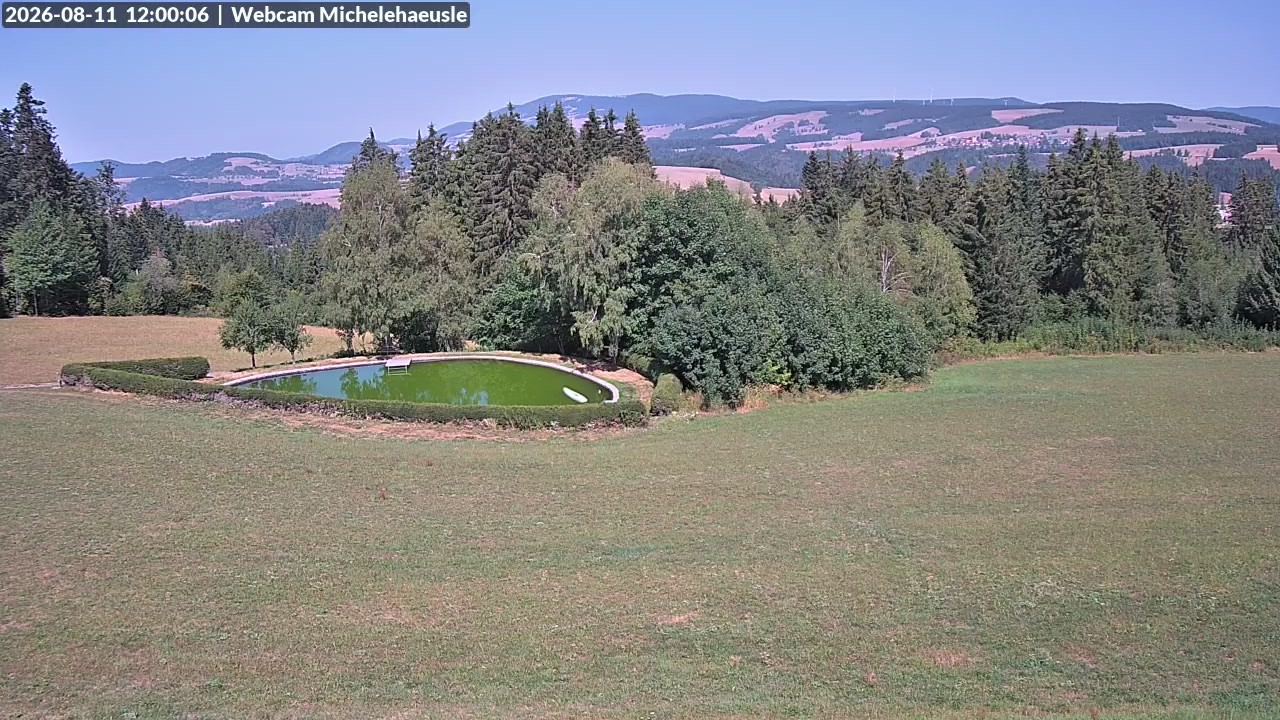 Archiv Foto Webcam Thurnerspur - St. Peter und St. Märgen