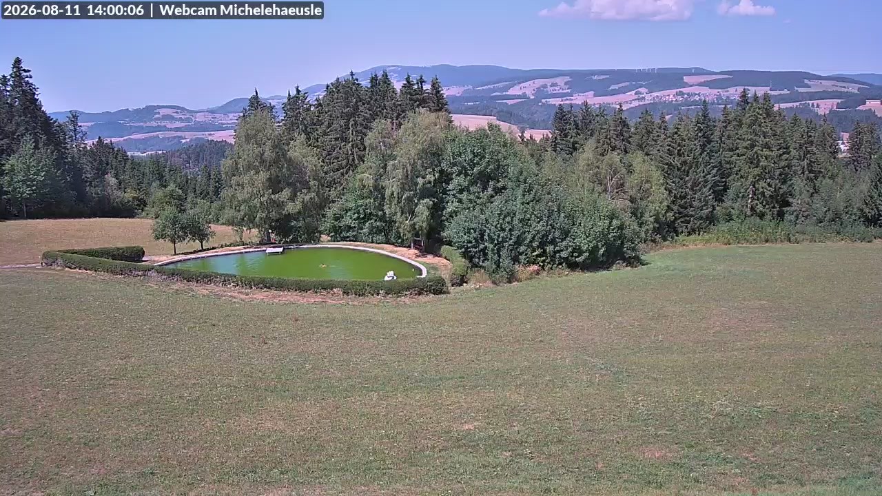 Archiv Foto Webcam Thurnerspur - St. Peter und St. Märgen