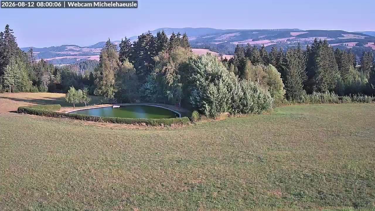 Archiv Foto Webcam Thurnerspur - St. Peter und St. Märgen