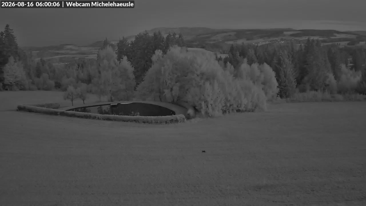 Archiv Foto Webcam Thurnerspur - St. Peter und St. Märgen