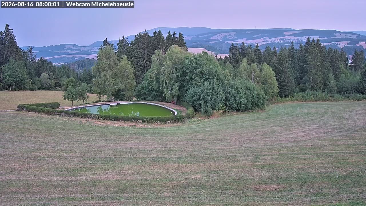 Archiv Foto Webcam Thurnerspur - St. Peter und St. Märgen