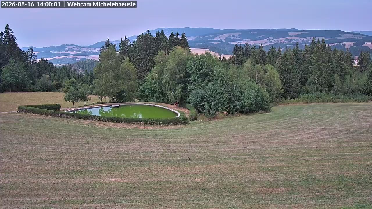 Archiv Foto Webcam Thurnerspur - St. Peter und St. Märgen
