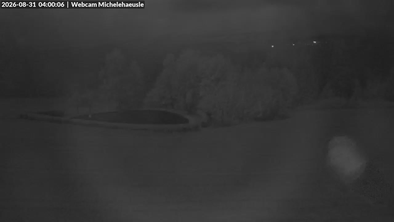 Archiv Foto Webcam Thurnerspur - St. Peter und St. Märgen