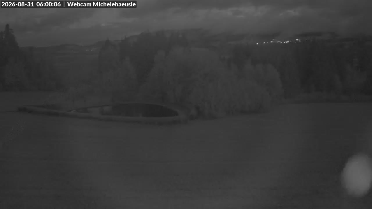 Archiv Foto Webcam Thurnerspur - St. Peter und St. Märgen