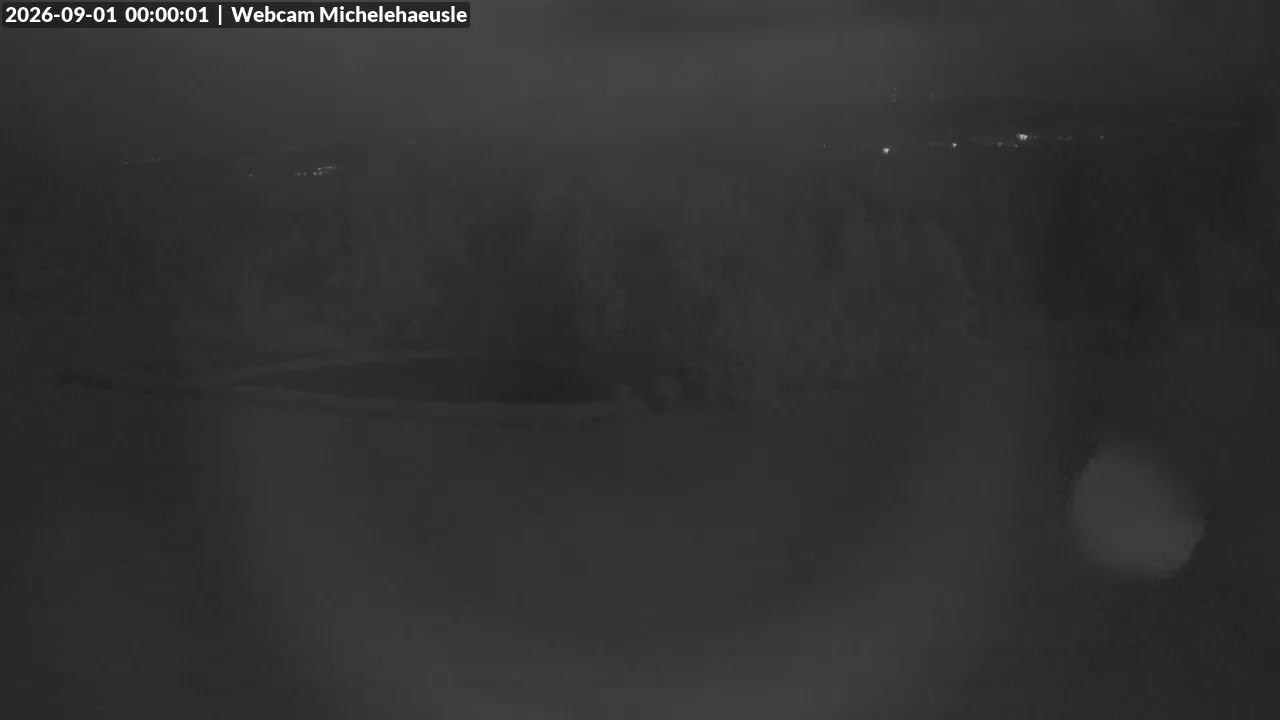 Archiv Foto Webcam Thurnerspur - St. Peter und St. Märgen