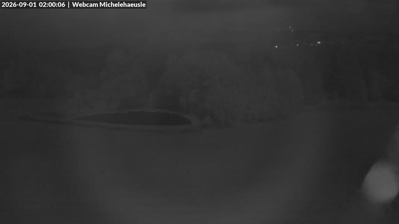 Archiv Foto Webcam Thurnerspur - St. Peter und St. Märgen