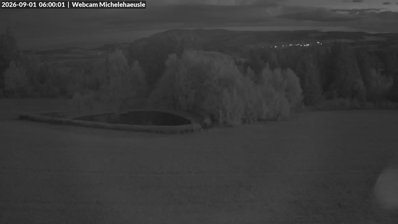 Archiv Foto Webcam Thurnerspur - St. Peter und St. Märgen