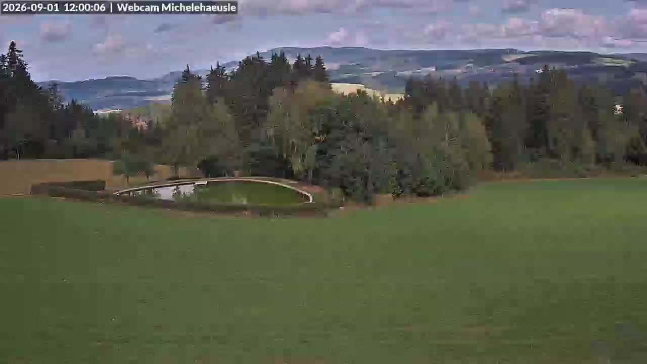 Archiv Foto Webcam Thurnerspur - St. Peter und St. Märgen