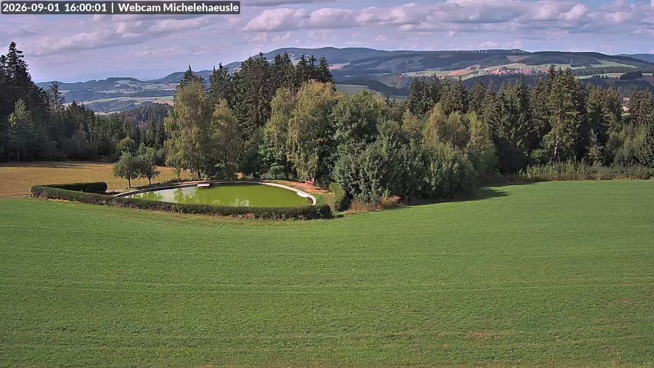 Archiv Foto Webcam Thurnerspur - St. Peter und St. Märgen