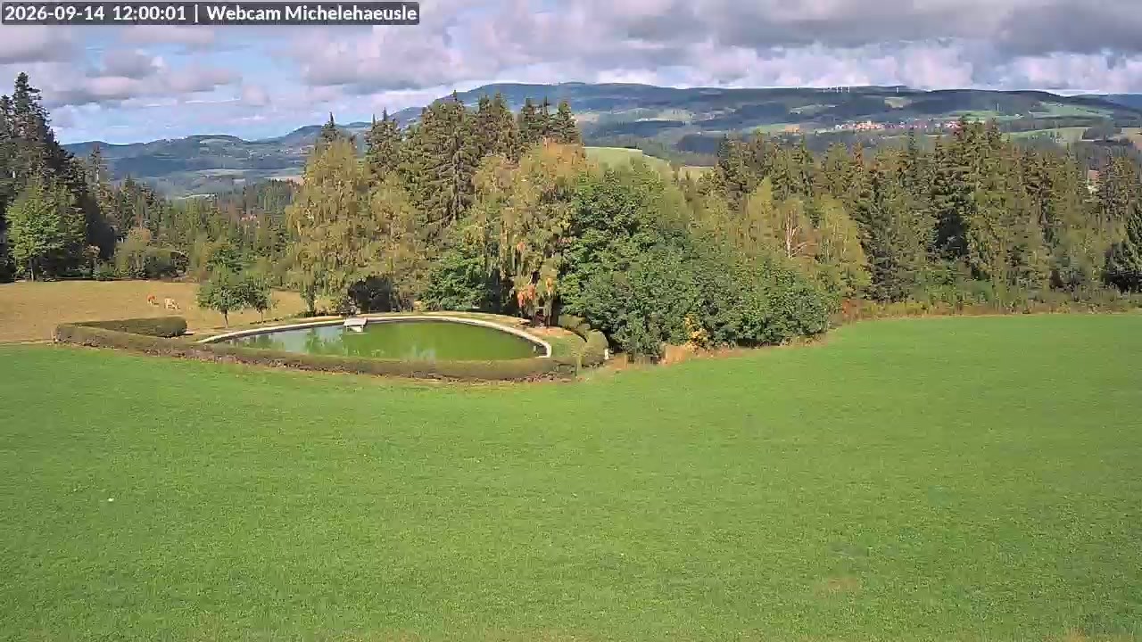 Archiv Foto Webcam Thurnerspur - St. Peter und St. Märgen