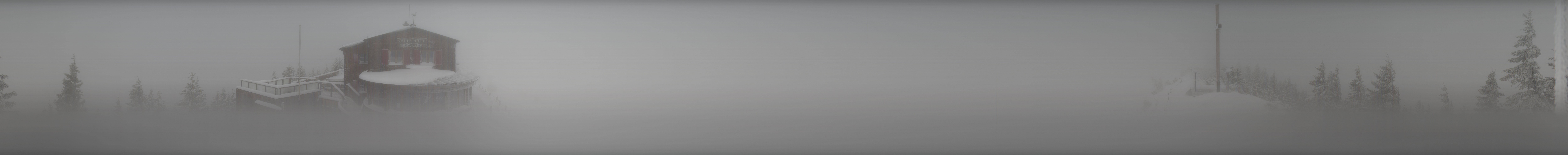 Archiv Foto Webcam Pfronten - Gipfel Breitenberg