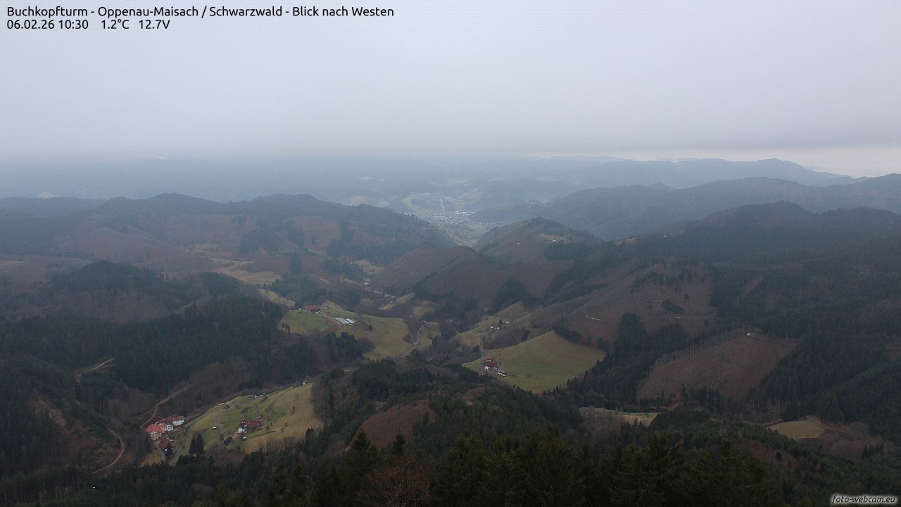 Archiv Foto Webcam Buchkopfturm - Oppenau-Maisach/Schwarzwald - Blick nach Westen
