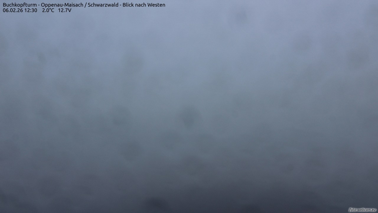 Archiv Foto Webcam Buchkopfturm - Oppenau-Maisach/Schwarzwald - Blick nach Westen