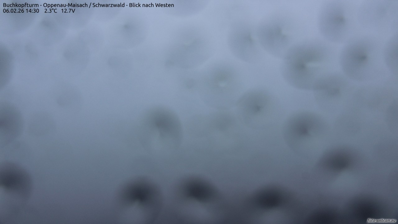 Archiv Foto Webcam Buchkopfturm - Oppenau-Maisach/Schwarzwald - Blick nach Westen