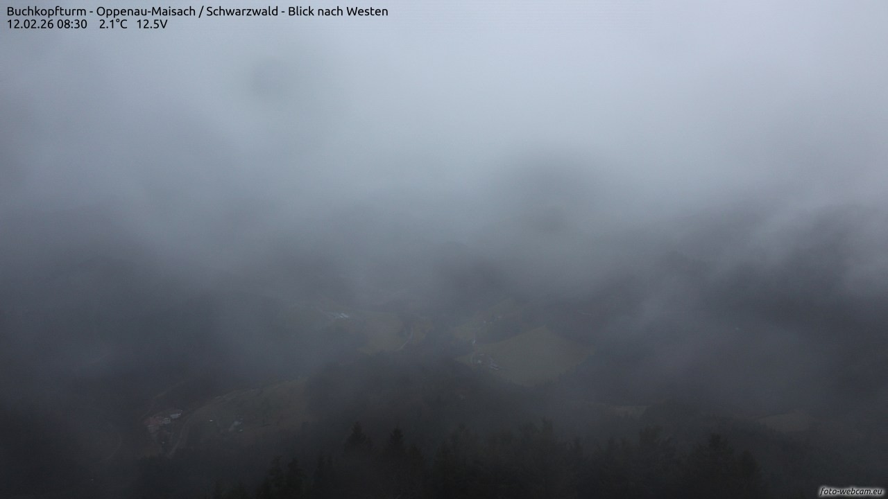 Archiv Foto Webcam Buchkopfturm - Oppenau-Maisach/Schwarzwald - Blick nach Westen