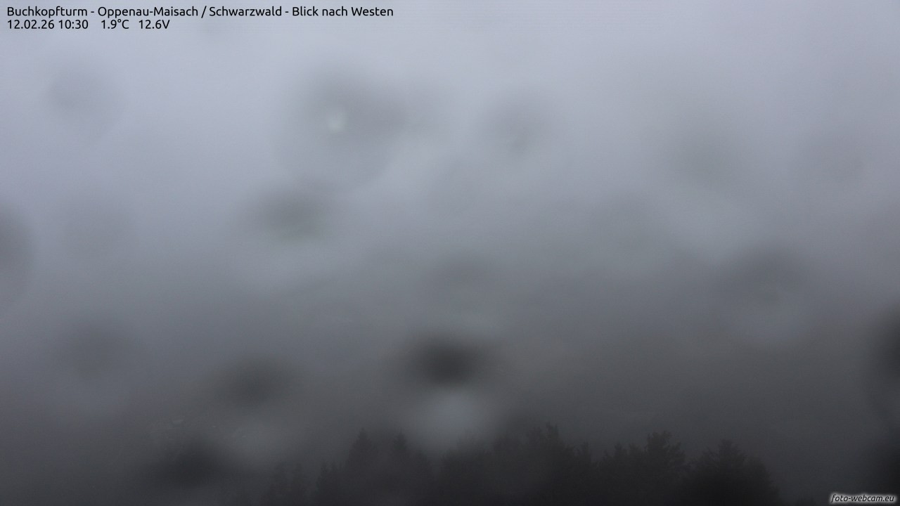 Archiv Foto Webcam Buchkopfturm - Oppenau-Maisach/Schwarzwald - Blick nach Westen