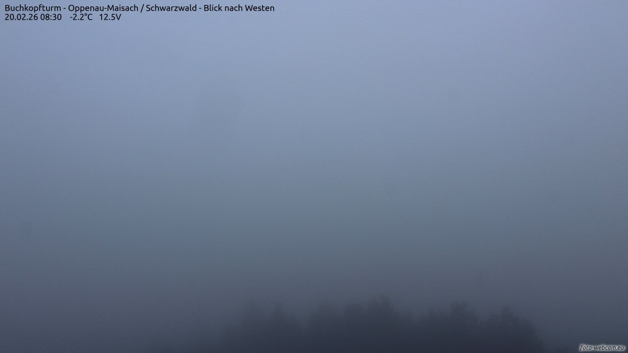 Archived image Webcam Buchkopfturm - Oppenau-Maisach/Black Forest - View to the West