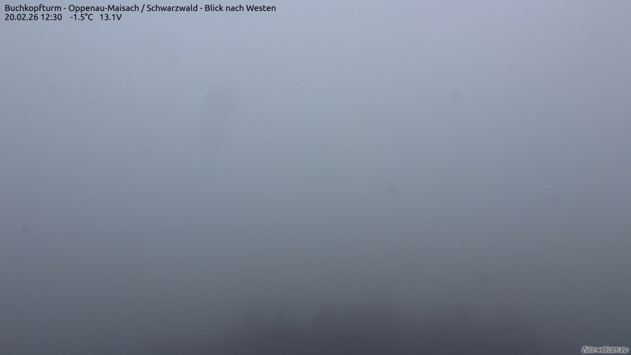 Archived image Webcam Buchkopfturm - Oppenau-Maisach/Black Forest - View to the West