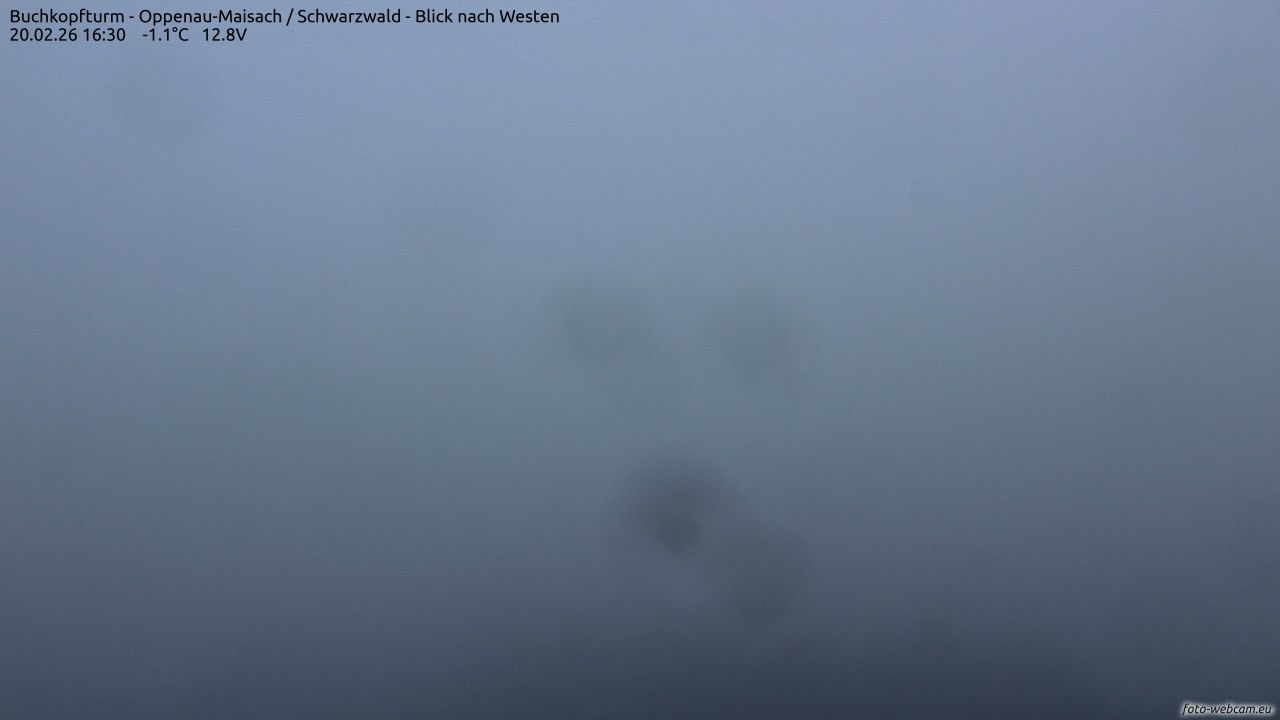 Archived image Webcam Buchkopfturm - Oppenau-Maisach/Black Forest - View to the West
