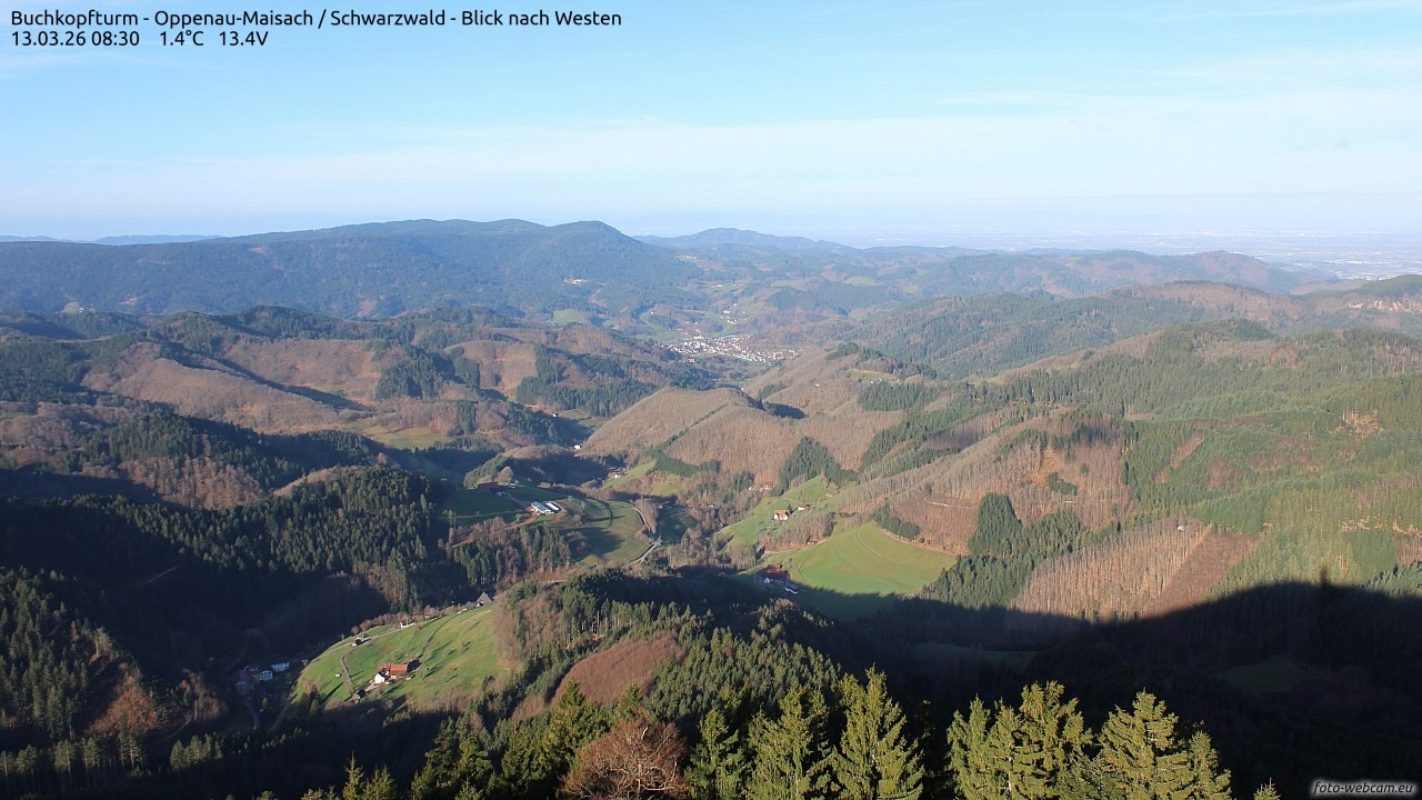 Archiv Foto Webcam Buchkopfturm - Oppenau-Maisach/Schwarzwald - Blick nach Westen