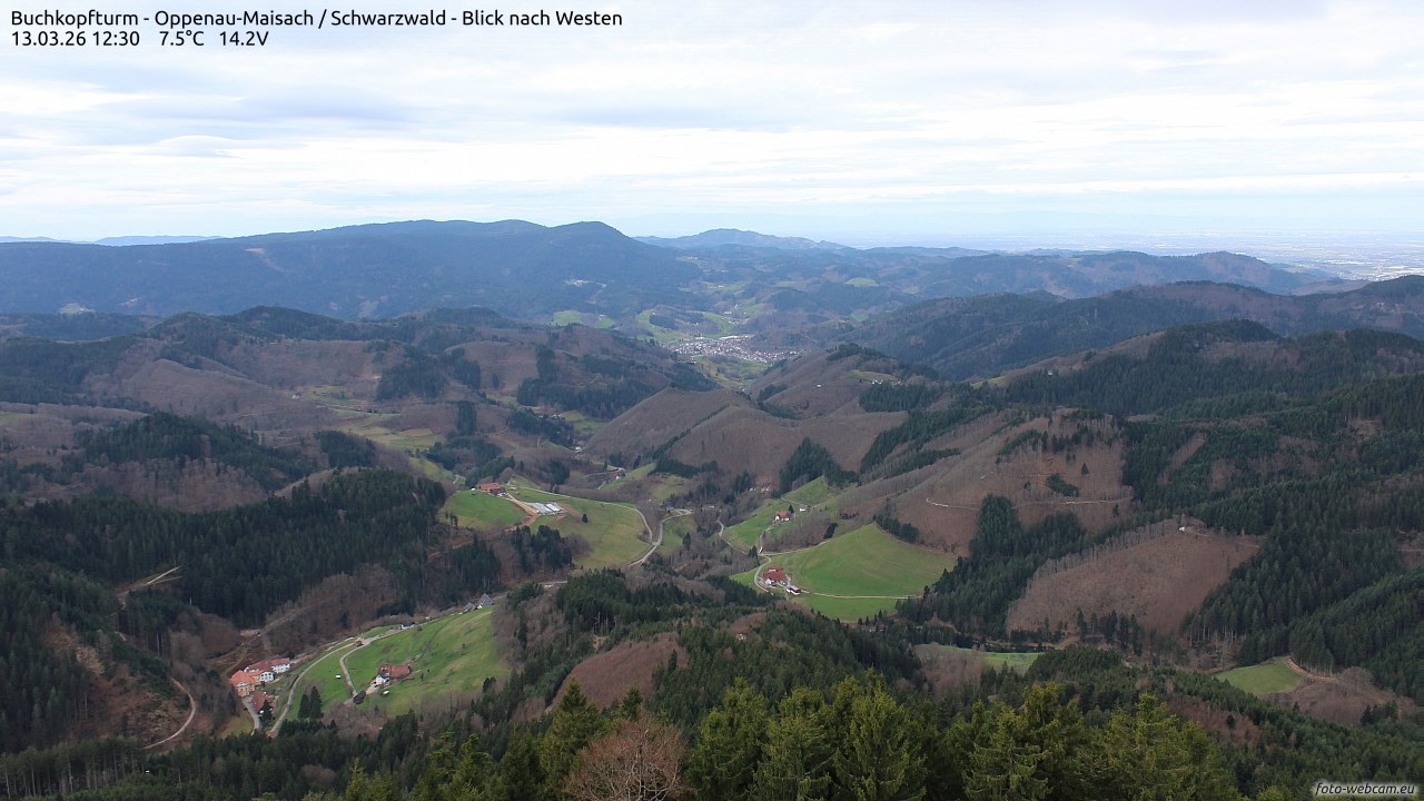 Archiv Foto Webcam Buchkopfturm - Oppenau-Maisach/Schwarzwald - Blick nach Westen
