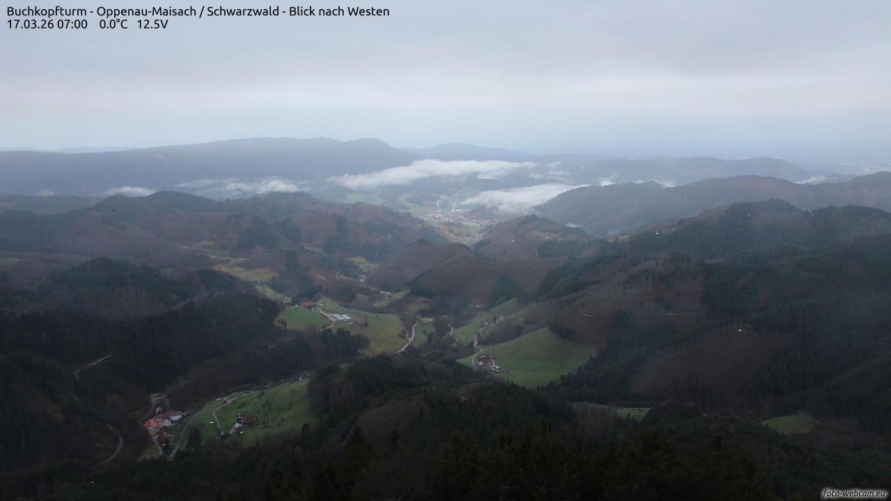 Archiv Foto Webcam Buchkopfturm - Oppenau-Maisach/Schwarzwald - Blick nach Westen