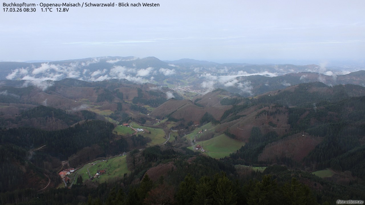 Archiv Foto Webcam Buchkopfturm - Oppenau-Maisach/Schwarzwald - Blick nach Westen