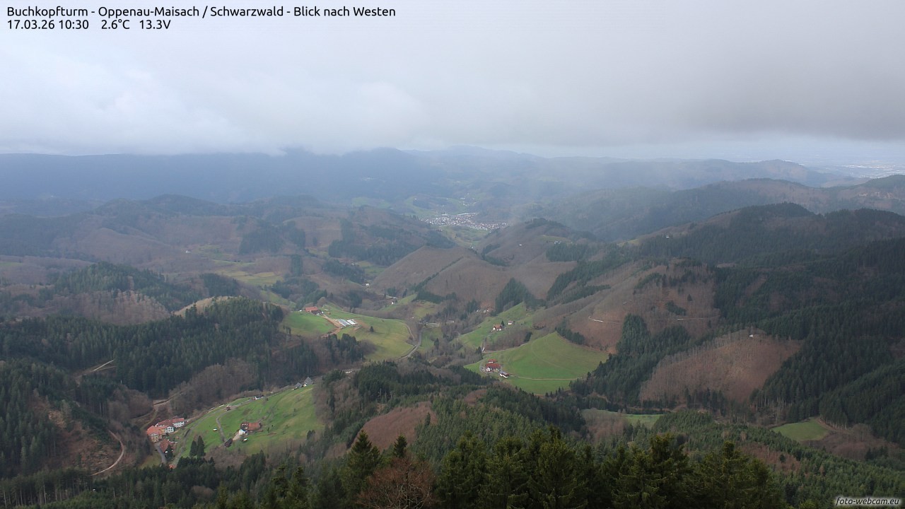 Archiv Foto Webcam Buchkopfturm - Oppenau-Maisach/Schwarzwald - Blick nach Westen